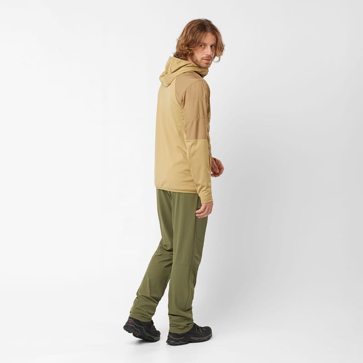 Salomon Men's Wayfarer Pants Grape Leaf Salomon