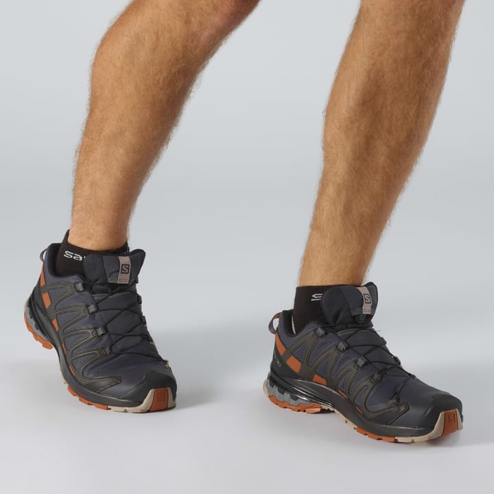 Salomon Men's XA Pro 3D V8 GORE-TEX Ebony Salomon
