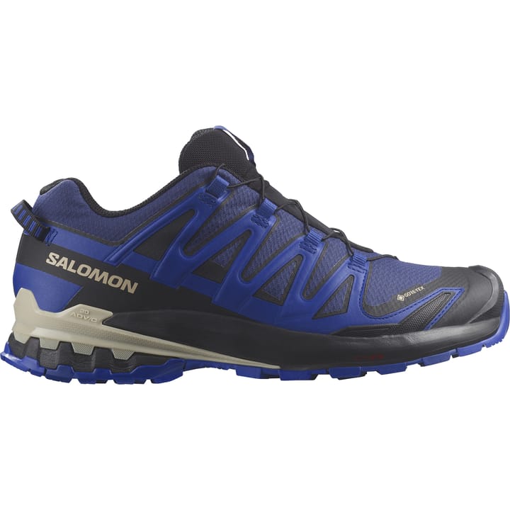 Salomon Men's XA Pro 3D V9 GORE-TEX Blue Print/Surf The Web/Lapis Blue Salomon