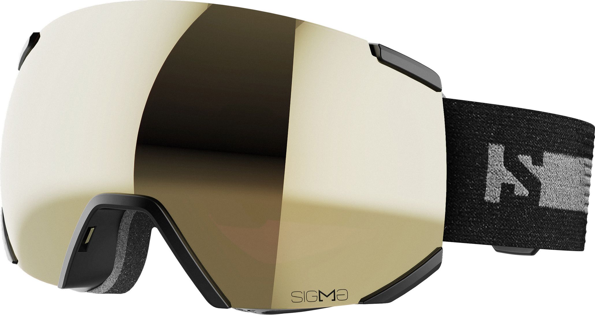 Salomon Ski Goggles