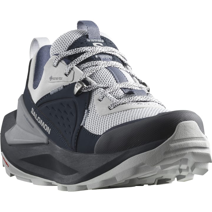 Salomon Women's Elixir GORE-TEX Carbon/Pearl Blue/Flint Stone Salomon