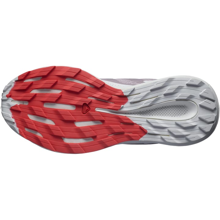 Salomon Women's Pulsar Trail Quail/Lunar Rock/Poppy Red Salomon