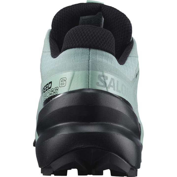 Salomon Women's Speedcross 6 GORE-TEX Aquifer/Black/Yucca Salomon Salomon Women's Speedcross 6 GORE-TEX Aquifer/Black/Yucca Salomon