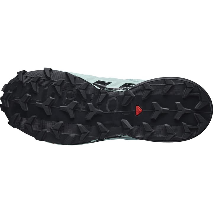 Salomon Women's Speedcross 6 GORE-TEX Aquifer/Black/Yucca Salomon Salomon Women's Speedcross 6 GORE-TEX Aquifer/Black/Yucca Salomon