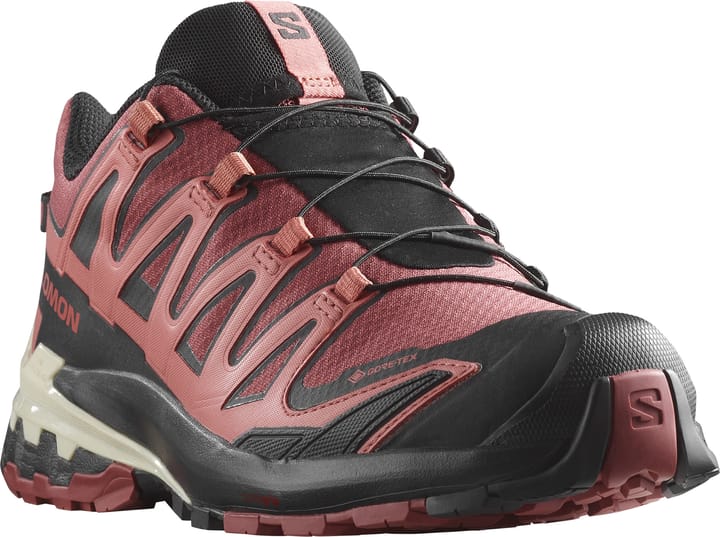 Salomon Women's XA Pro 3D V9 GORE-TEX Cow Hide/Black/Faded Rose Salomon