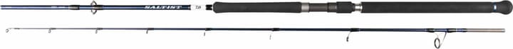 Daiwa Saltist Hyper Spin Daiwa