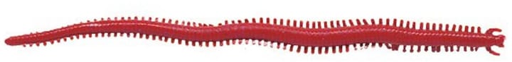 Berkley Berkley Saltwater Sandworm Berkley