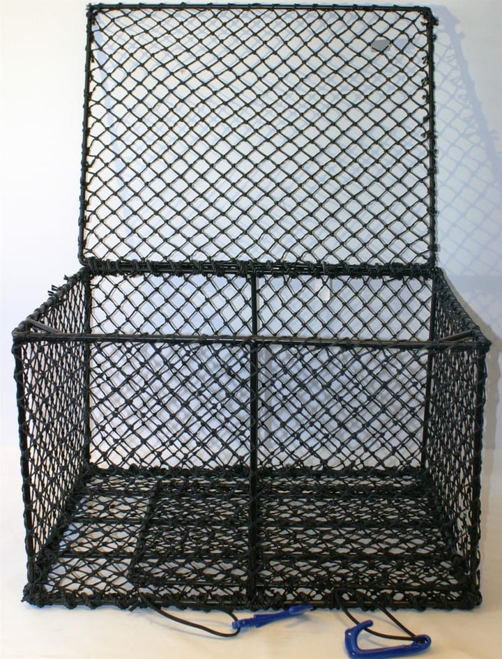 CAL Sanketeine Stor 75x58x47cm CAL CAL Sanketeine Stor 75x58x47cm CAL