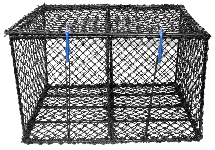 CAL Sanketeine Stor 75x58x47cm CAL CAL Sanketeine Stor 75x58x47cm CAL