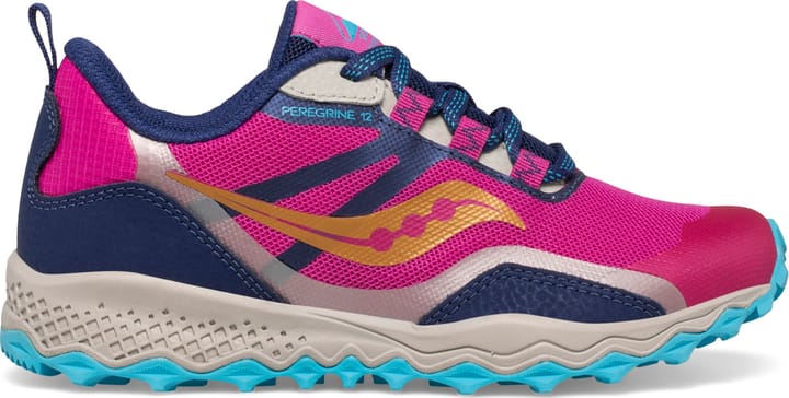 saucony peregrine shield 2