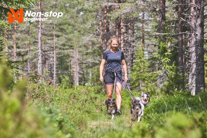 Non-Stop Dogwear Line Harness 5.0 Orange Non-stop Dogwear Non-Stop Dogwear Line Harness 5.0 Orange Non-stop Dogwear
