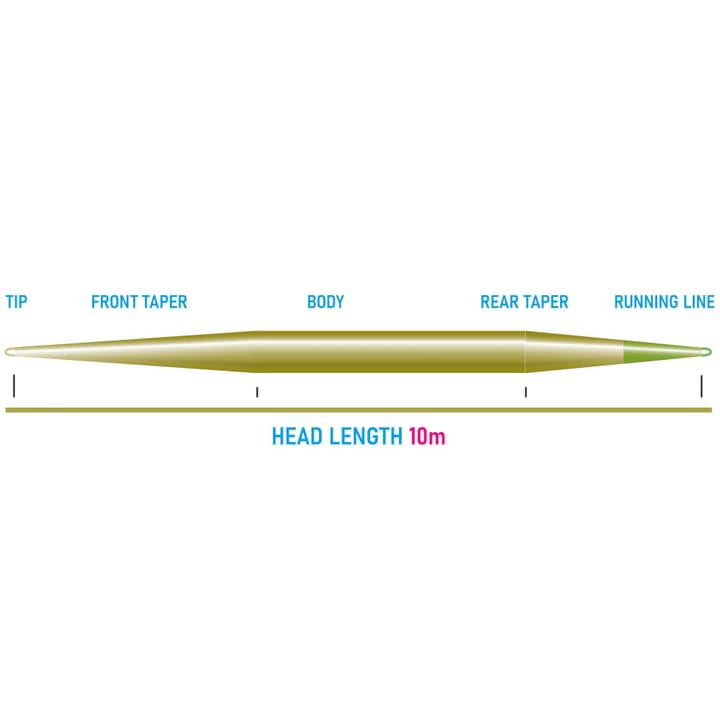 Vision Seatrout Shooting Head Vision