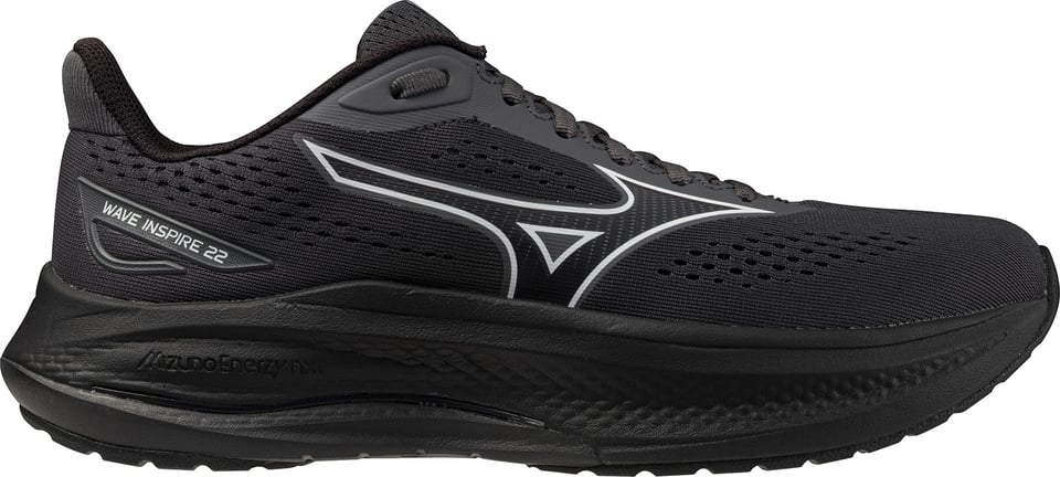 Men's Wave Inspire 22