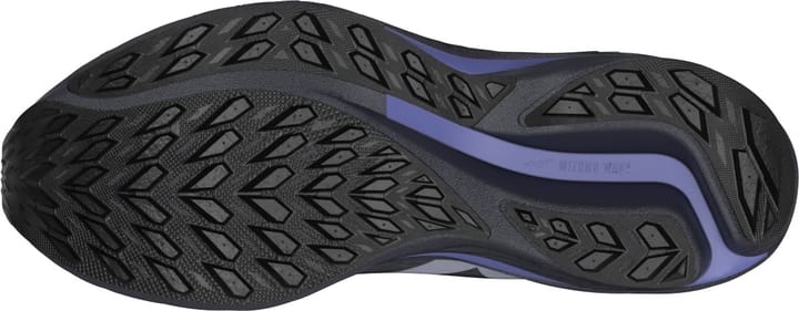 Mizuno Women's Wave Rider GORE-TEX 3 Odyssey Gray/Icelandic Blue/Iris Bloom Mizuno