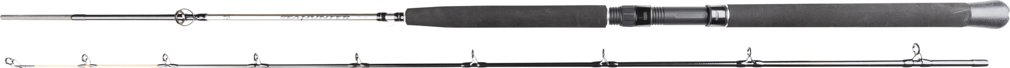 Daiwa Seahunter Trolling