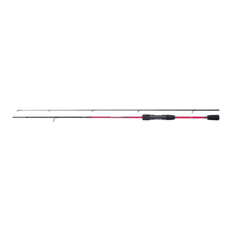 Shimano Sienna Spinning Eva Shimano