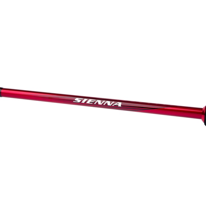 Shimano Sienna Spinning Cork Shimano