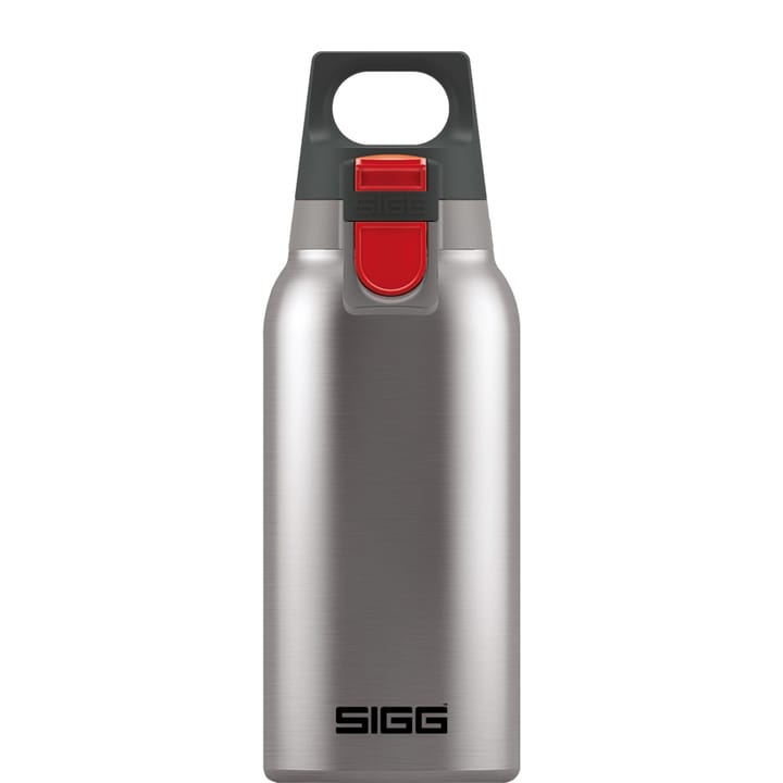 Hot & Cold One 0,3L Brushed Steel SIGG