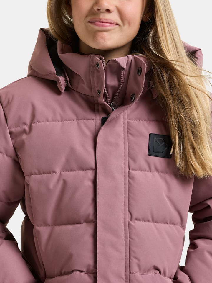Didriksons Kids' Silikat Jacket Dulse Pink Didriksons