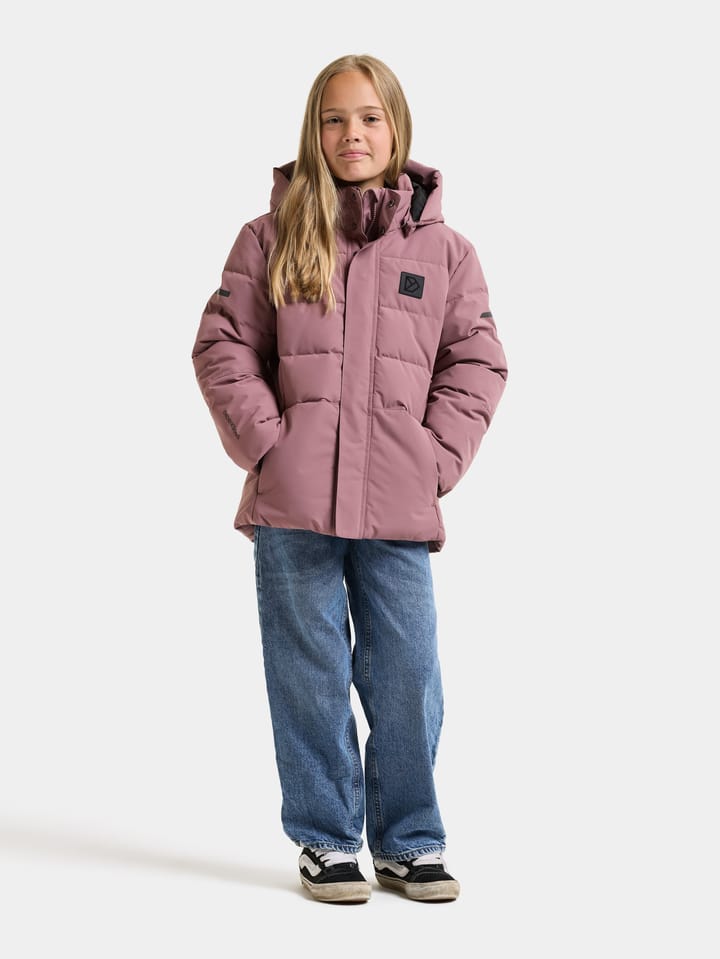 Didriksons Kids' Silikat Jacket Dulse Pink Didriksons