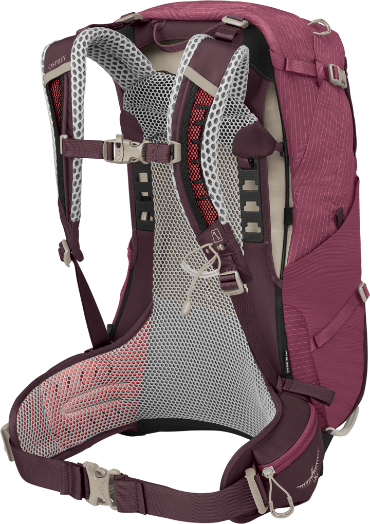 Osprey Women's Sirrus 24 Elderberry Purple/Chiru Tan Osprey