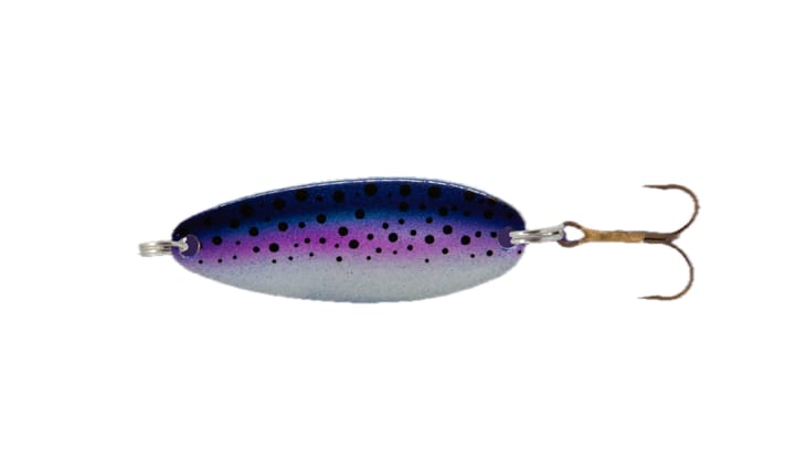 Falkfish Safir Falkfish Falkfish Safir Falkfish