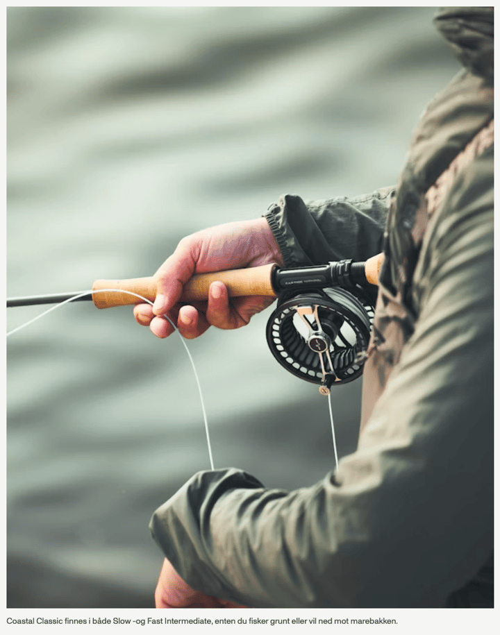 Guideline Coastal Classic Wf Guideline