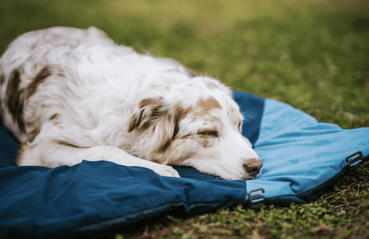 Non-stop Dogwear Trekking Dog Bed Dark Teal Non-stop Dogwear