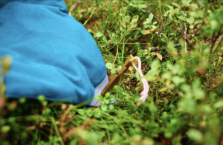 Non-stop Dogwear Trekking Dog Bed Dark Teal Non-stop Dogwear