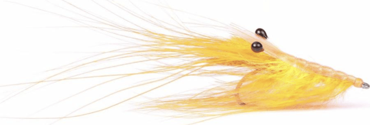 Umpqua Flies Pattegrisen Orange Umpqua Flies