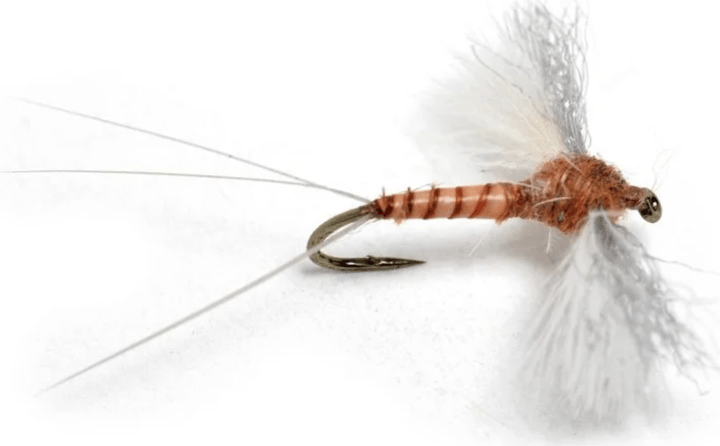 Umpqua Flies Gold Head Mysis Umpqua Flies