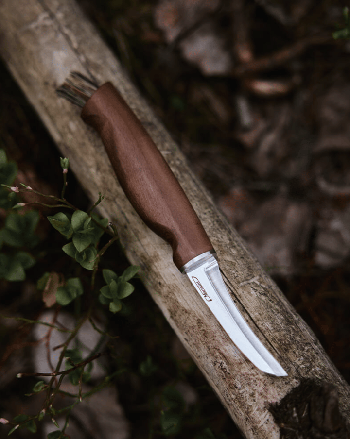 Marttiini Mushroom Knife Kerääjä Box Marttiini