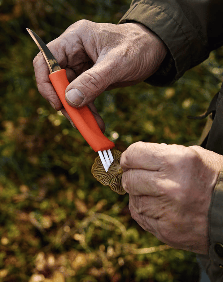 Marttiini Mushroom Knife Ruska Marttiini
