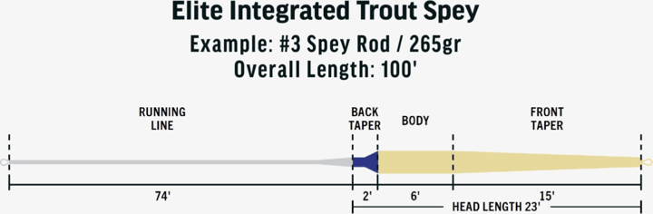 Rio Elite Integrated Trout Spey Rio