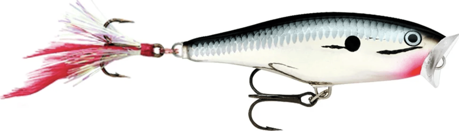 Rapala Skitter Pop Ch