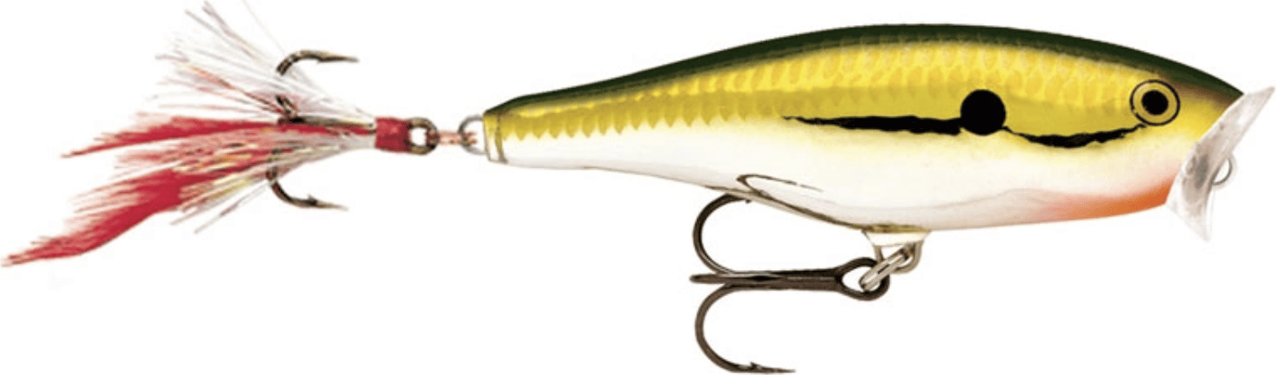 Rapala Skitter Pop Gch