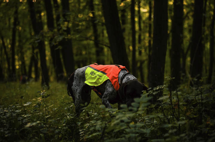 Non-stop Dogwear Protector Vest 2.0 Orange Non-stop Dogwear