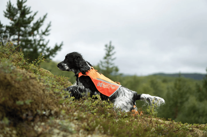 Non-stop Dogwear Protector Vest 2.0 Orange Non-stop Dogwear