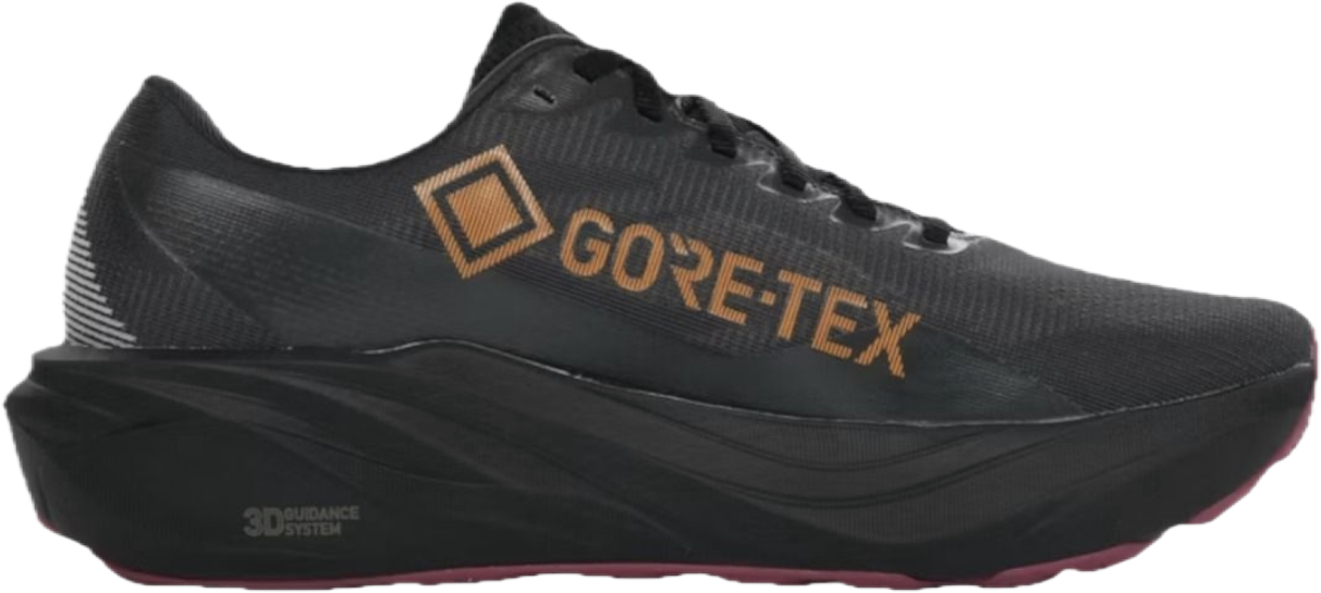 Asics Men´s Gt-2000 15 GORE-TEX