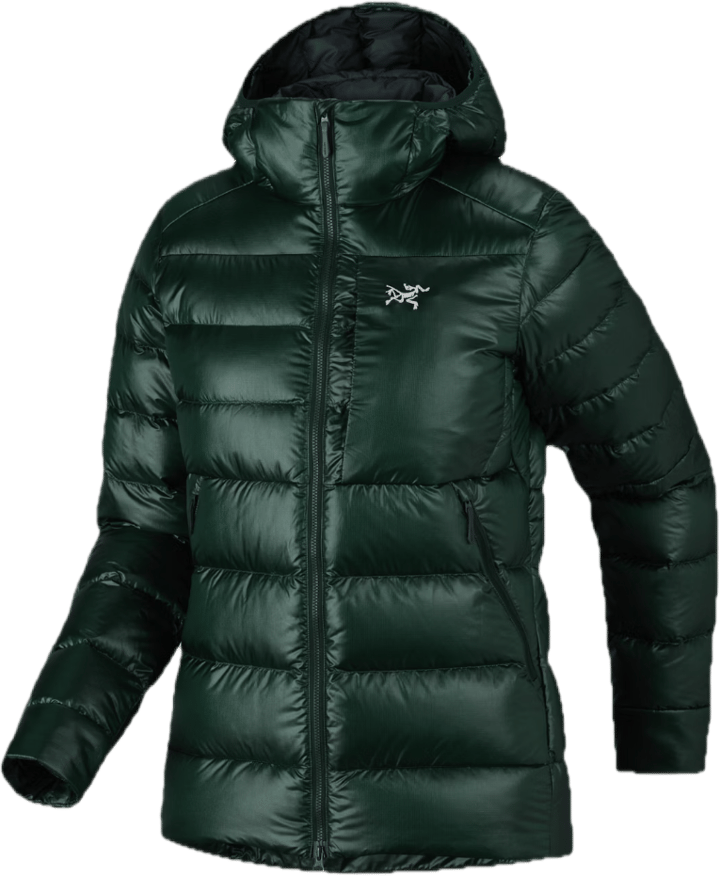 Arc'teryx Cerium Sv Hoody W Dark Jade Arc'teryx