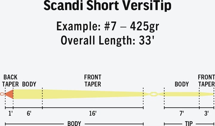 Rio Scandi Short Versitip Rio
