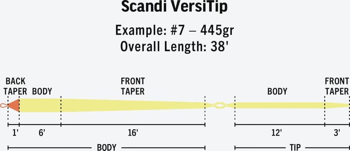 Rio Scandi Versitip Rio