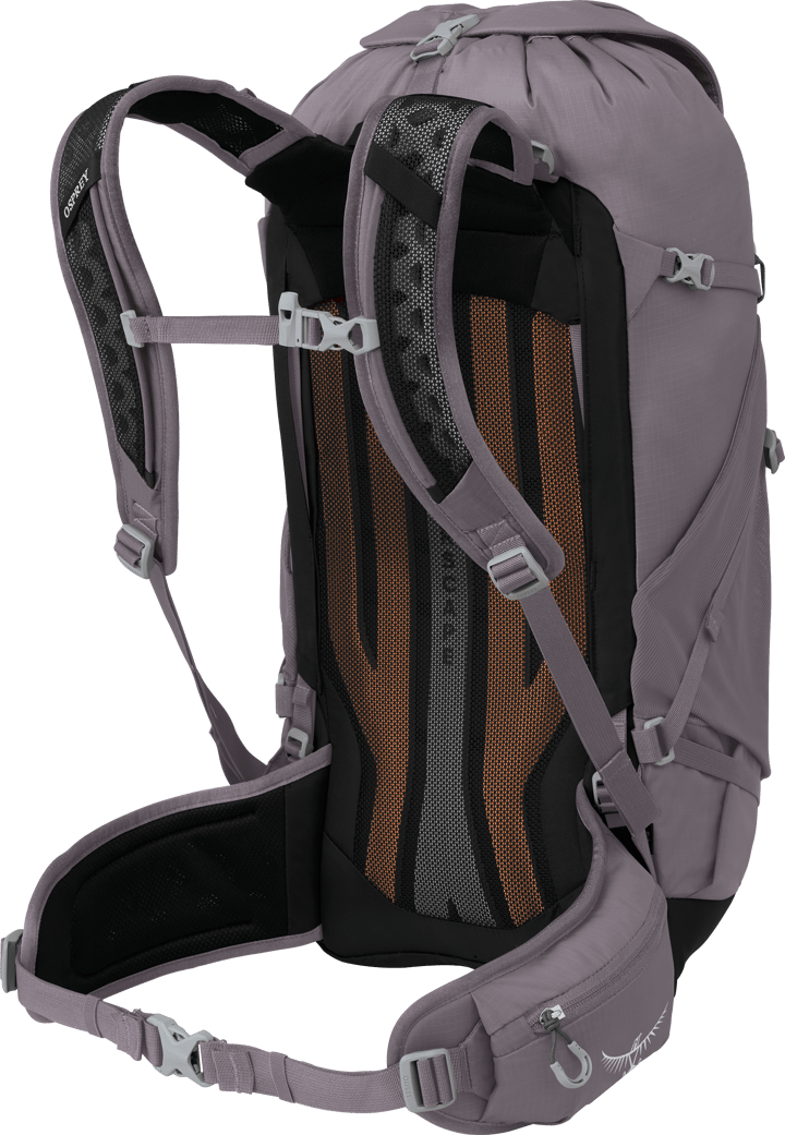 Osprey Sportlite 30 Graphite Purple Osprey