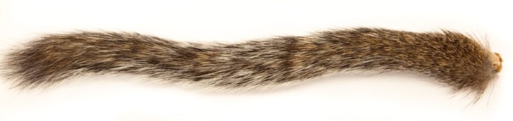 The Fly Co Squirrel Tail - Natural Grey Wapsi The Fly Co The Fly Co Squirrel Tail - Natural Grey Wapsi The Fly Co