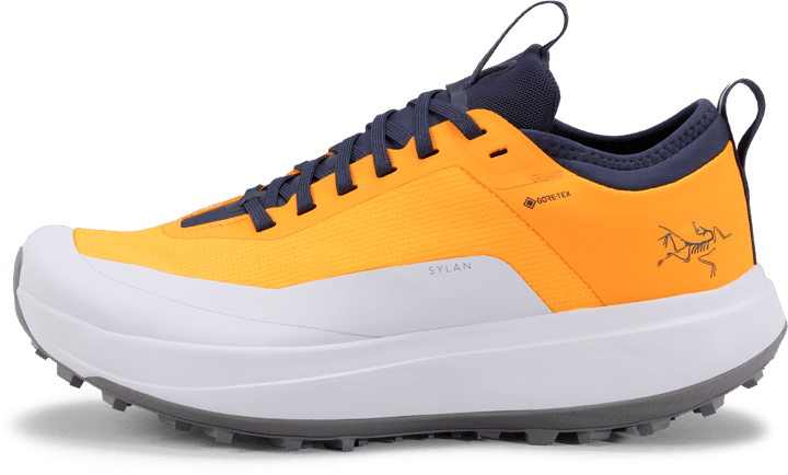 Arc'teryx Women's Sylan GORE-TEX Edziza/Solitude Arc'teryx