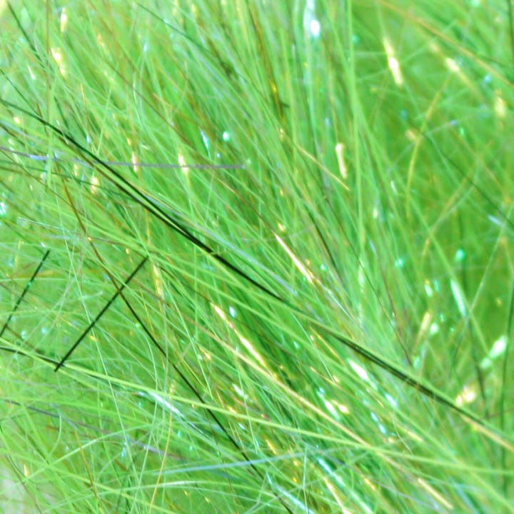 Frodin Flies Sss Glitz Frodin Flies