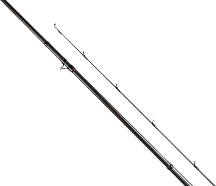 Daiwa Steez Ags Bait Daiwa