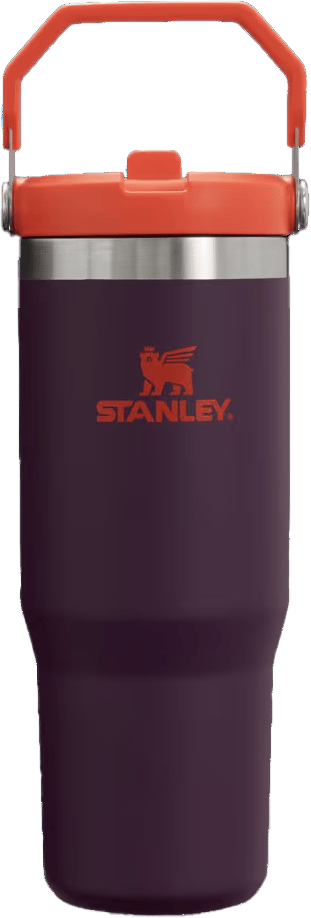 Stanley Iceflow Flip Straw Plum
