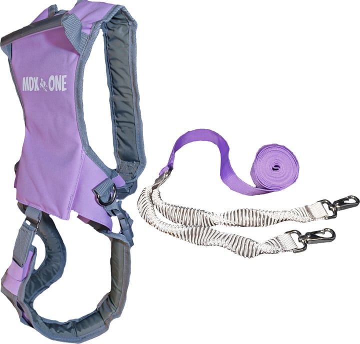 MDXone The Static Ski Harness Lavender MDXone