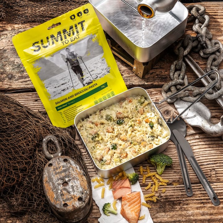 Summit to Eat Salmon and Broccoli Pasta Nocolour Summit to Eat Summit to Eat Salmon and Broccoli Pasta Nocolour Summit to Eat